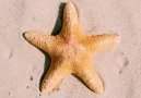 beach-1